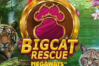 Big Cat Rescue MegaWays