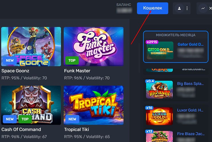 Раздел кошелек